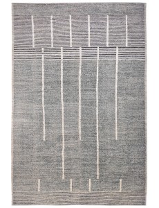 AM12096